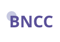 Figura habilidades e competências da BNCC;